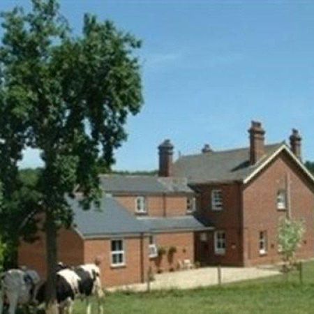 Villa Mill Farm Exeter Exterior foto