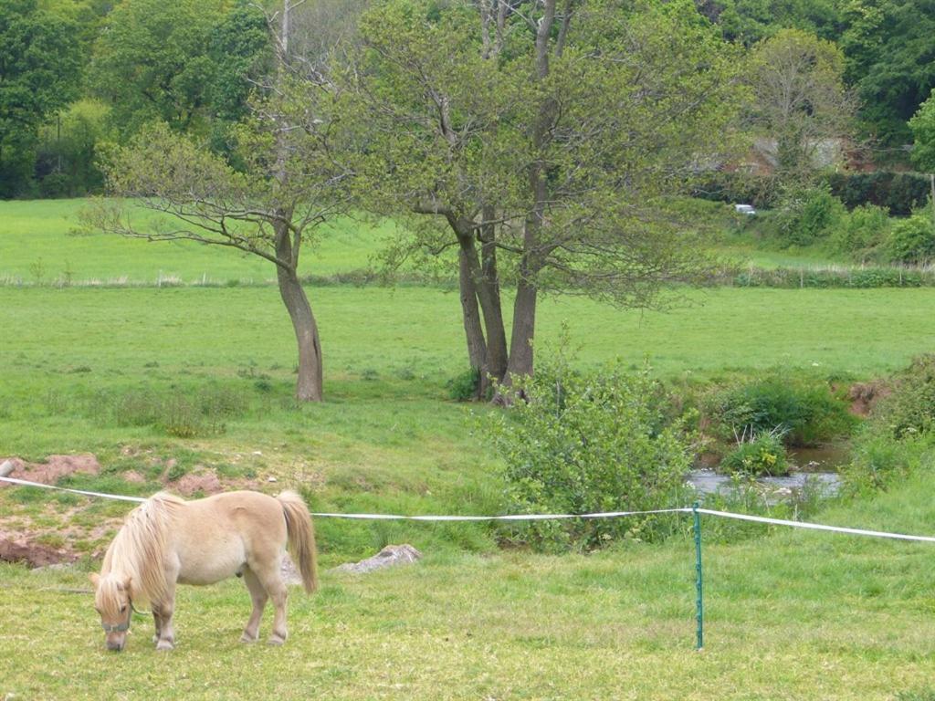 Villa Mill Farm Exeter Exterior foto